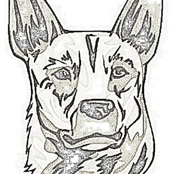 Meet your Posher, George - Picture 1 of 1